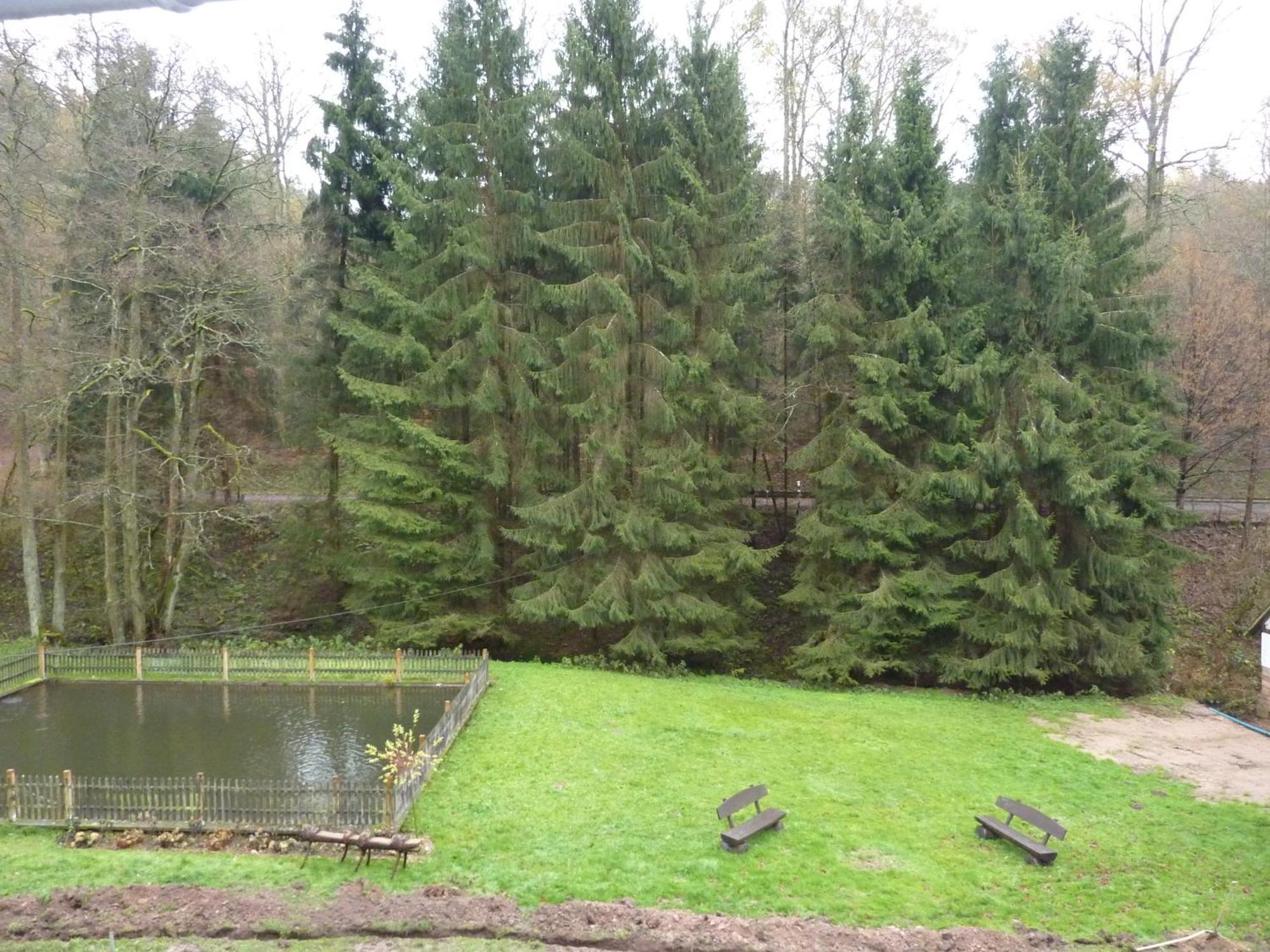 Hof Guttels Waldgasthof Ferienpension Rotenburg an der Fulda Ruang foto